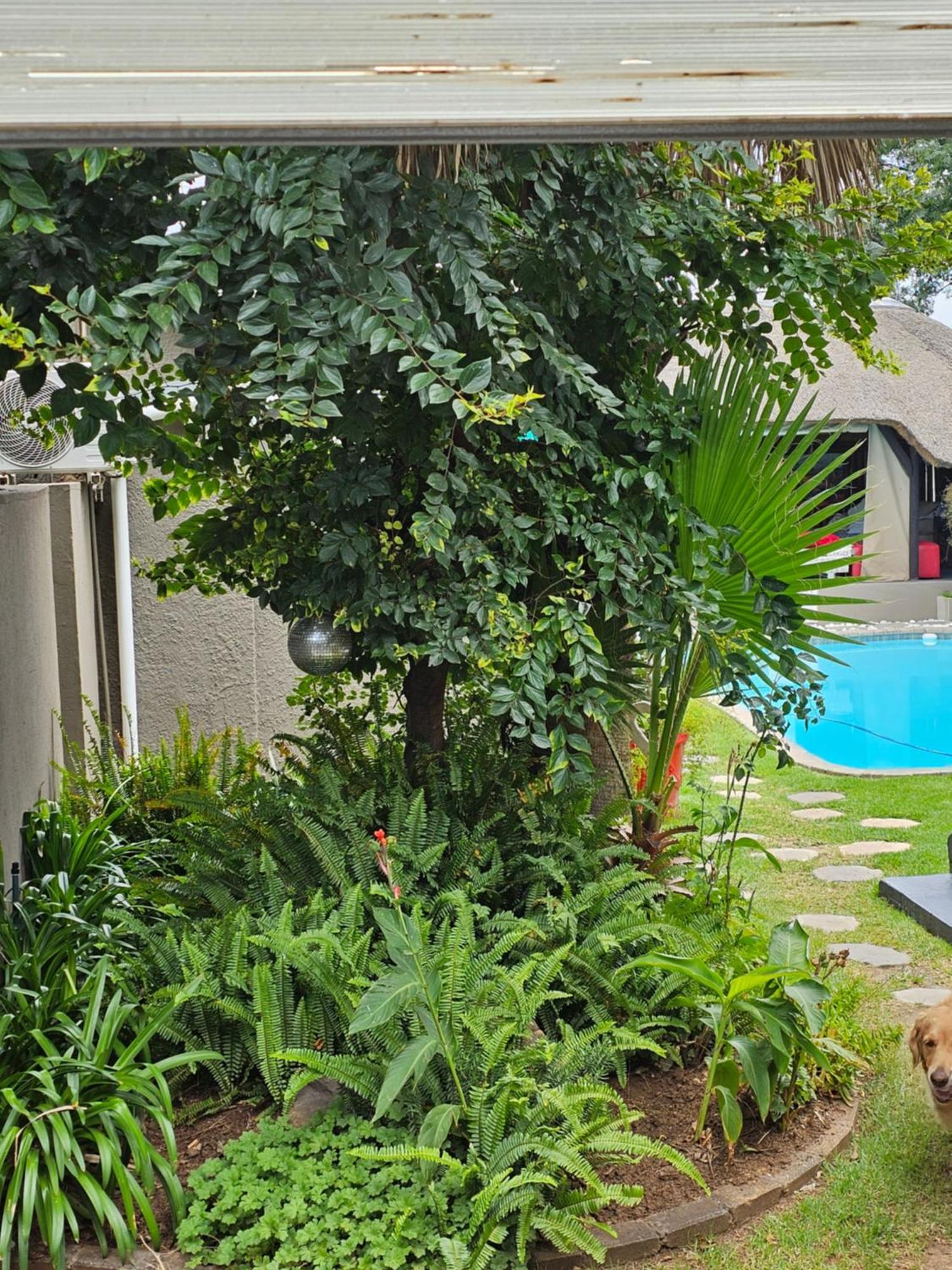 The Armagh Guesthouse Boksburg Exterior foto